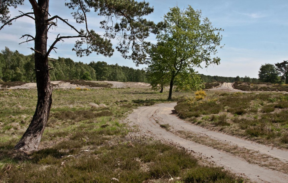 Wahner Heide